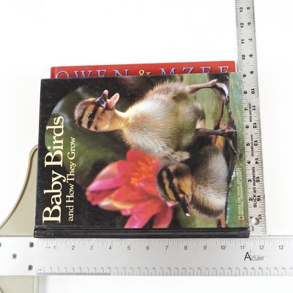 4 Animal National Geographic Society Hardcover Childrens Books Mixed Bundle Lot - Picture 10 of 11